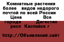 Комнатные растения более200видов недорого почтой по всей России › Цена ­ 100-500 - Все города  »    . Дагестан респ.,Каспийск г.